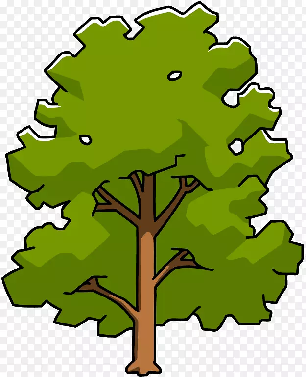 剪贴画插画绿叶植物茎-樟树