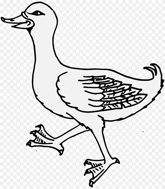 鸭夹艺术鹅png图片.鸭子