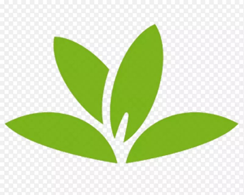 绿色叶片图标PNG图片素材下载_图片编号5846151-PNG素材网