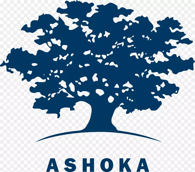 Ashoka：公众社会创业标志创新的创新者-Ashoka chakra