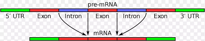 线绿设计角字体-生物医药广告