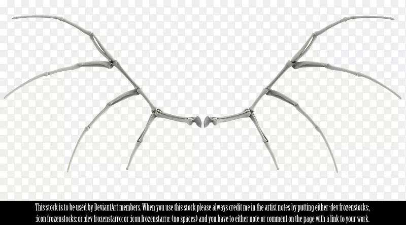 骨骼人体骨骼图像鸟-金属翅膀
