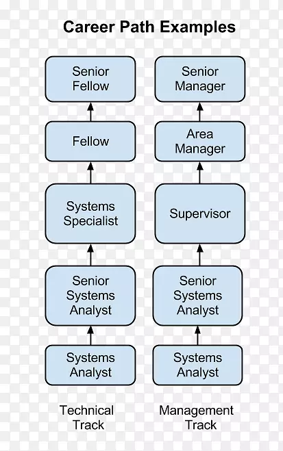 系统分析员组织职业描述信息系统.带图表的计算机