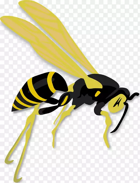 黄蜂西部蜜蜂剪贴画黄蜂