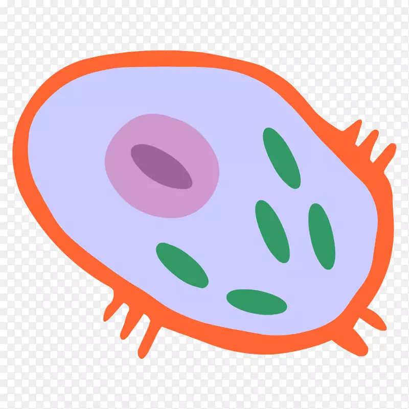 细胞膜剪贴画cèl·Lula动物有机体-细胞培养