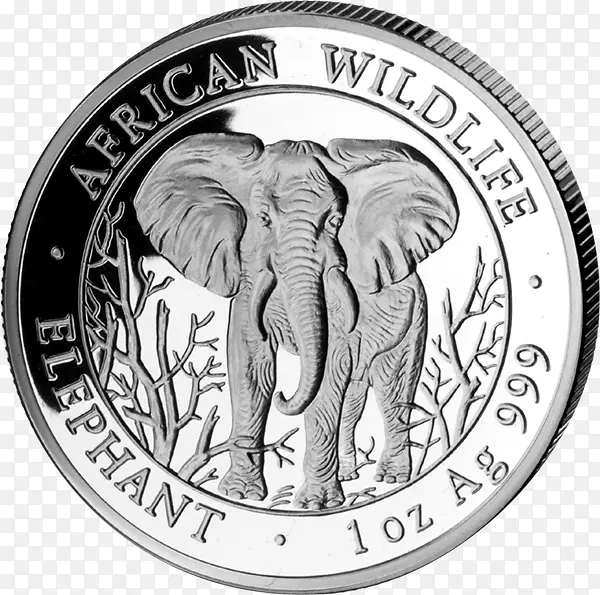 印度象银非洲象索马里-硬币