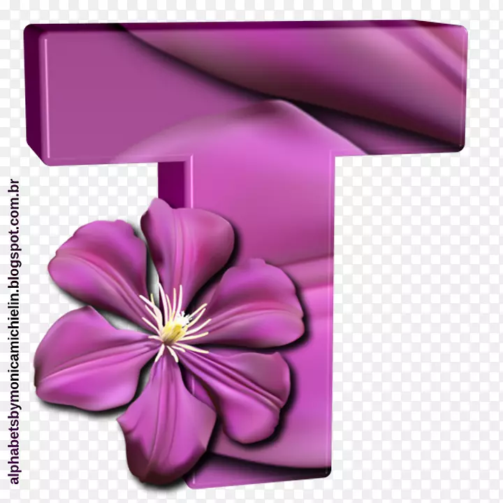 字母企鹅紫花植物-花字母o
