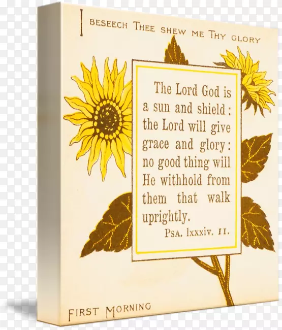 圣经书中常见的向日葵诗