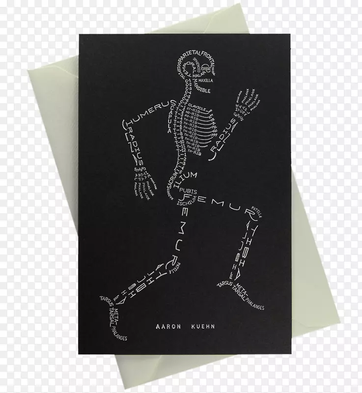 人体骨骼排版.骨骼