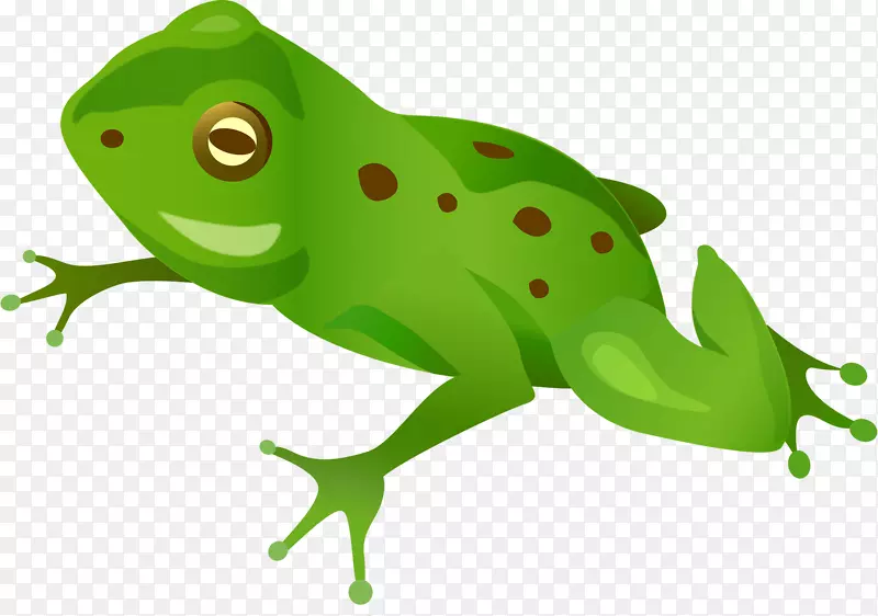 png图片青蛙剪贴画桌面壁纸图像青蛙循环系统
