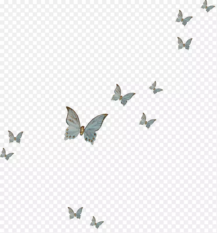 图形桌面壁纸插图图案字体蝴蝶瓷器