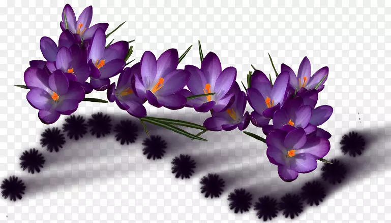 花紫彩色png图片紫花