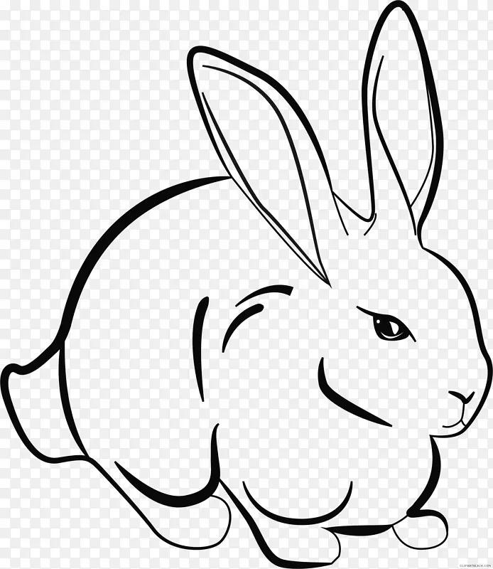 兔子复活节兔子家养兔线艺术-兔子