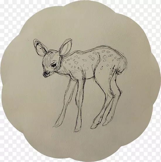 犬科，野兔，大脚动物-钢笔和墨水