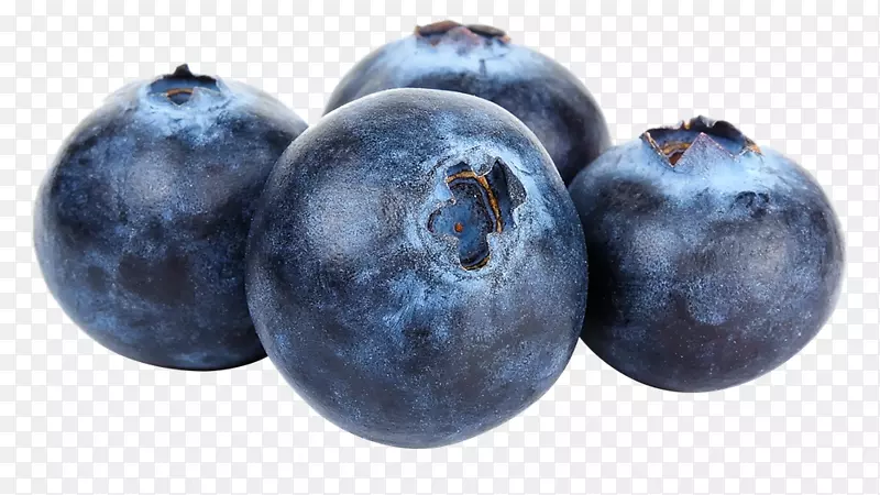 高山蓝莓果实