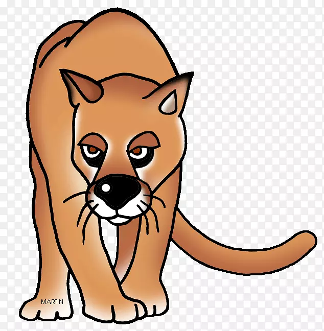 胡须黑豹夹艺术猫红狐黑豹