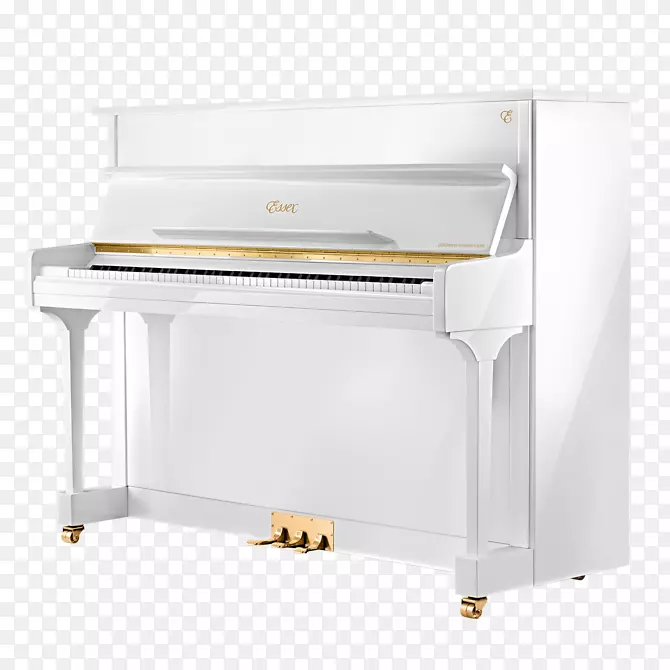 数码钢琴施坦威和儿子立式钢琴大钢琴-钢琴
