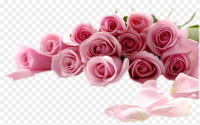 玫瑰桌面壁纸花卉图片.xchng-Nicole-Kidman