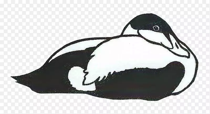 鸭企鹅图/m/02csf动物群-鸭子
