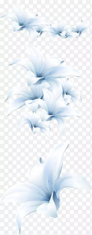 花卉麦当娜百合花瓣图像png图片.花