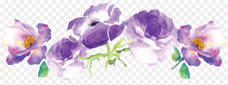 水彩画花卉设计水彩花紫罗兰紫色水彩花