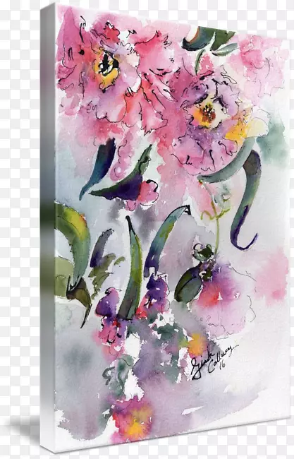花卉设计水彩画阿拉巴马山茶花