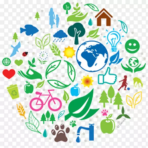 达卡经济学院自然环境可持续性组织论文-自然环境