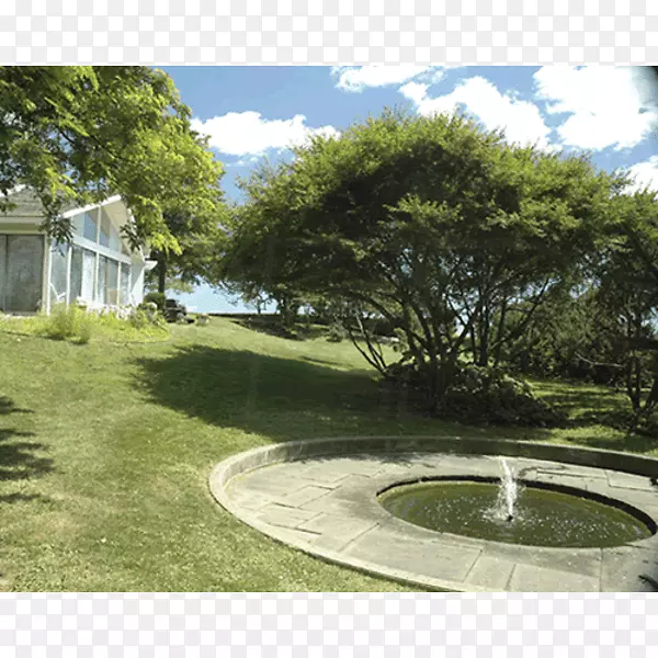 后院水资源属性草坪水特征-一个喷泉