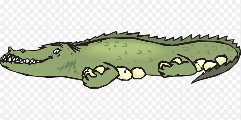 鳄鱼设计动物卡通-鳄鱼