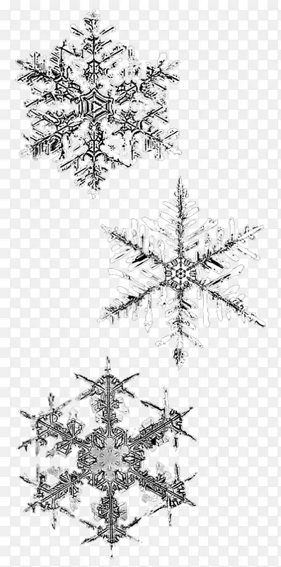 雪花冬季图像透明度-冬天