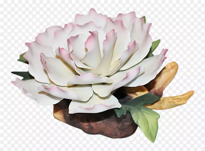 粉红m花盆植物-牡丹
