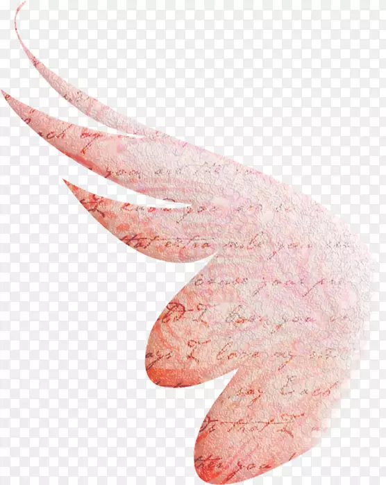粉红色的嘴-天使的翅膀和光环
