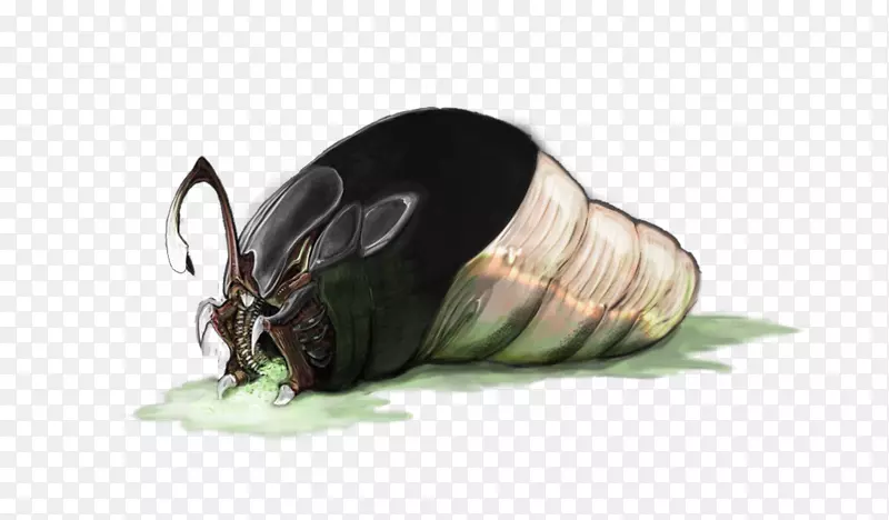 动物性昆虫甲虫膜-杰氏菌爬虫