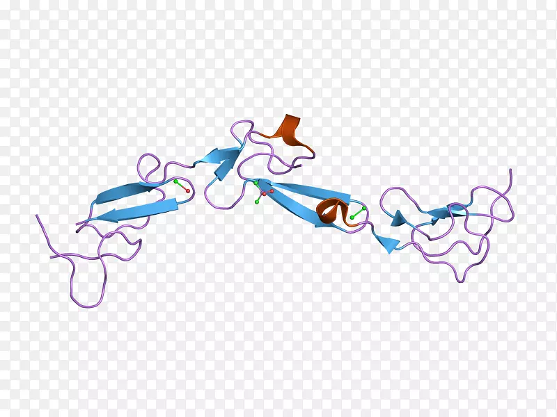 mr2cd97分化免疫系统粘附g蛋白偶联受体簇