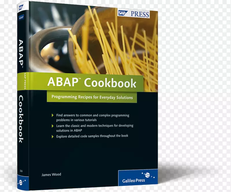 ABAP食谱：日常解决方案的编程方法sap se编程语言sap erp-烹饪