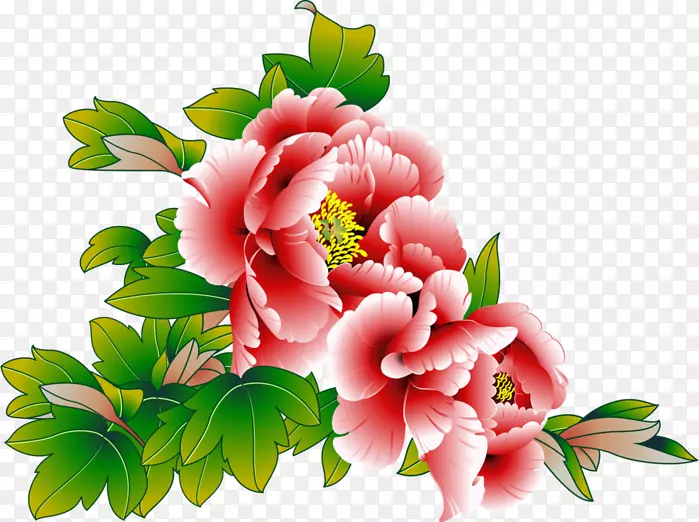 花束彩色花园玫瑰野花