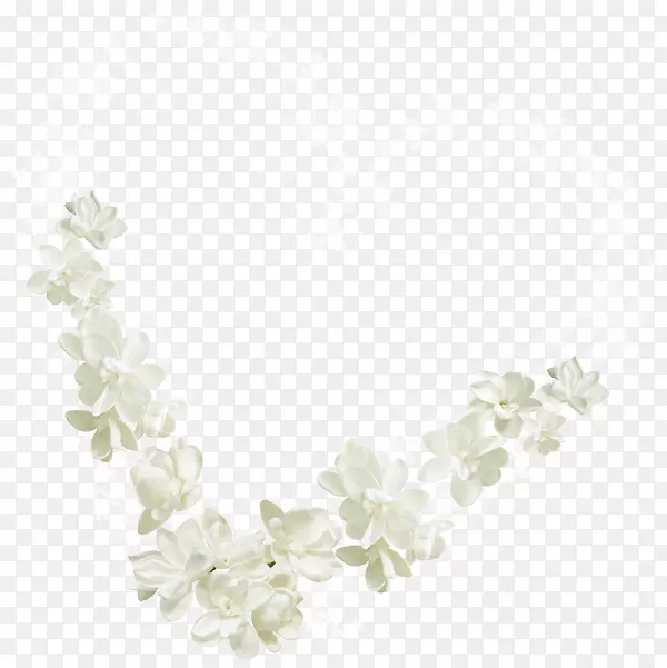 白色花瓣花直角花