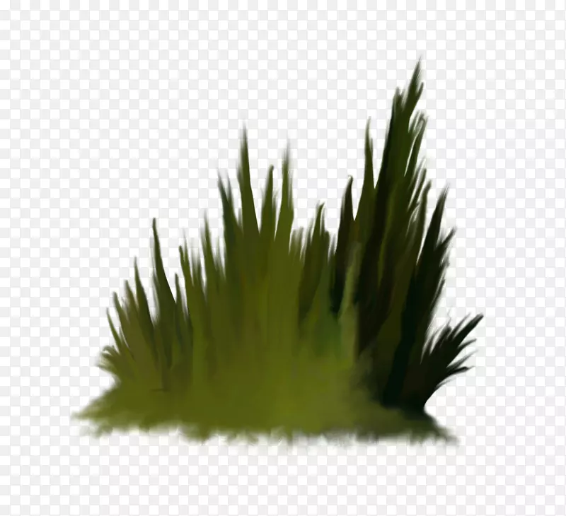 Adobe Photoshoppng图片PSD数字图像棕榈树-房屋森林