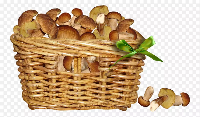 剪贴画蘑菇图像png图片真菌蘑菇