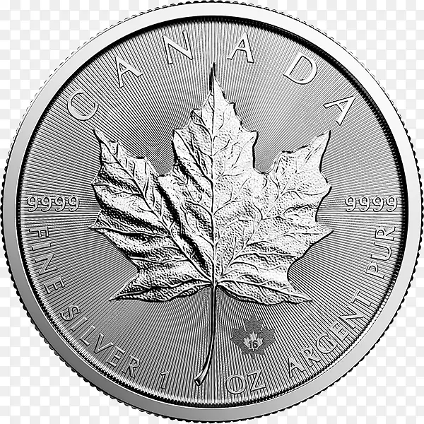 加拿大银枫叶加拿大金枫叶加拿大枫叶加拿大