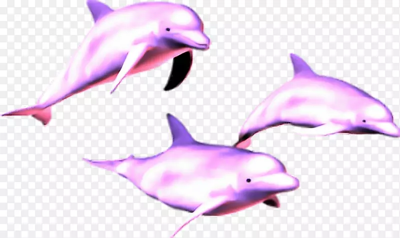蒸汽波海豚图像png图片剪辑艺术海豚