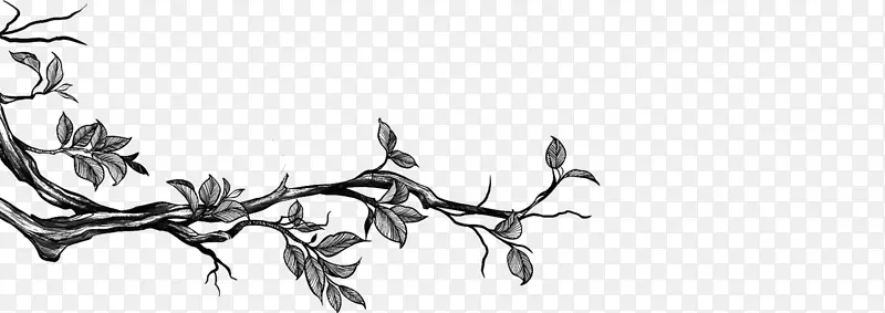 小枝草图设计图形植物茎设计