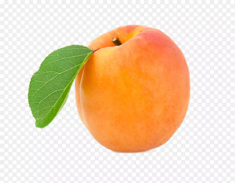 桃子杏png图片水果透明度.桃