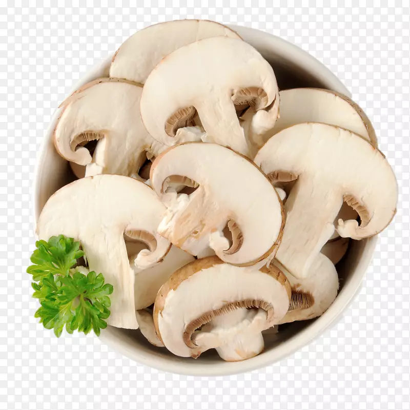 普通食用菌食蘑菇