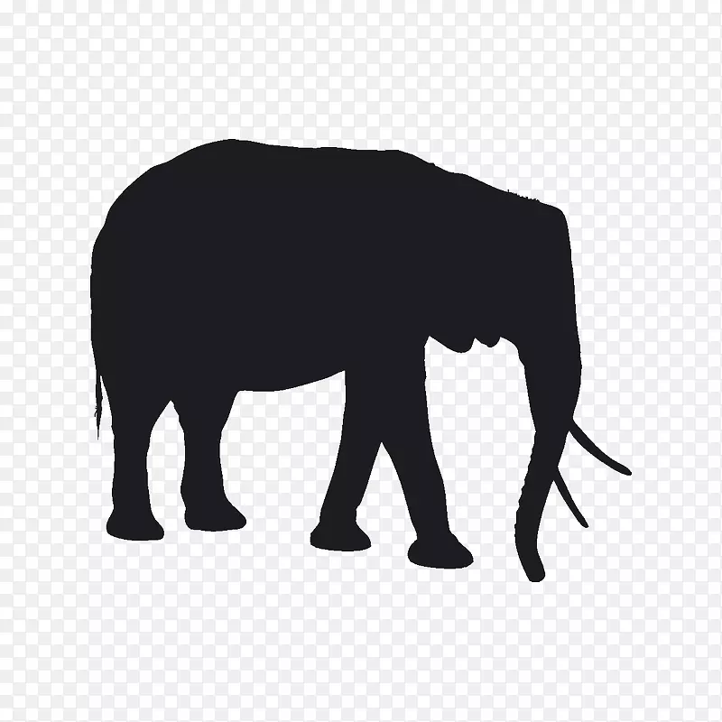 iphone x印度象最便宜的英文非洲象水彩画小象