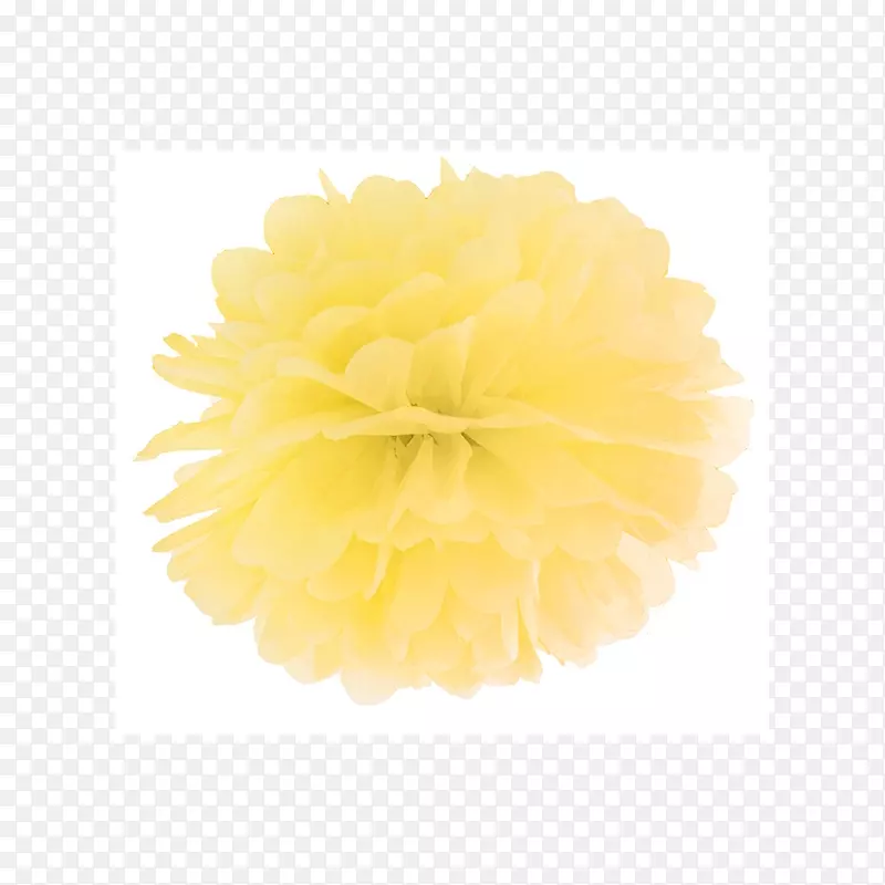 苹果绿纸巾-35厘米波姆黄色塑料POM