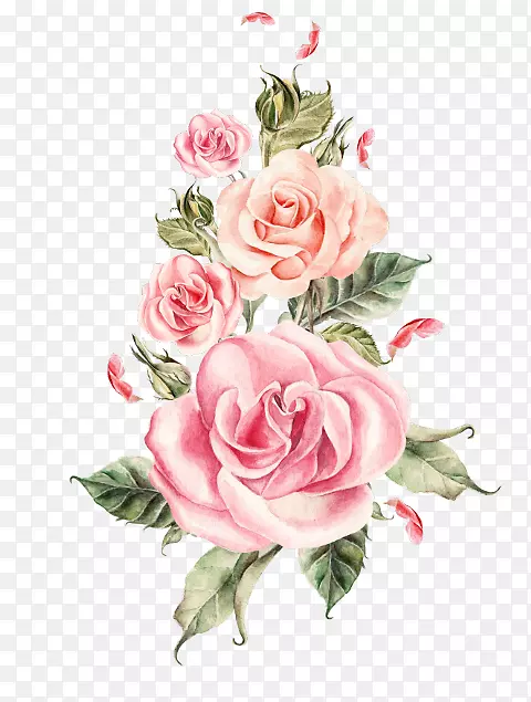 玫瑰png图片花束剪贴画玫瑰