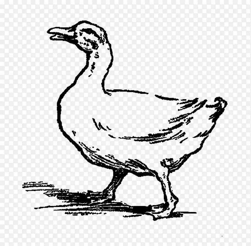 鸭鹅夹艺术家禽动物-鸭