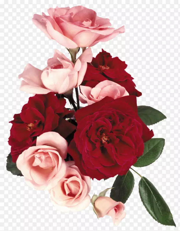 花园玫瑰，花束，卷心菜，玫瑰，花卉设计-花