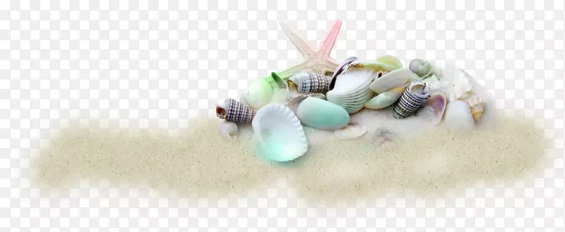 海贝壳沙滩贝壳沙夹艺术-贝壳